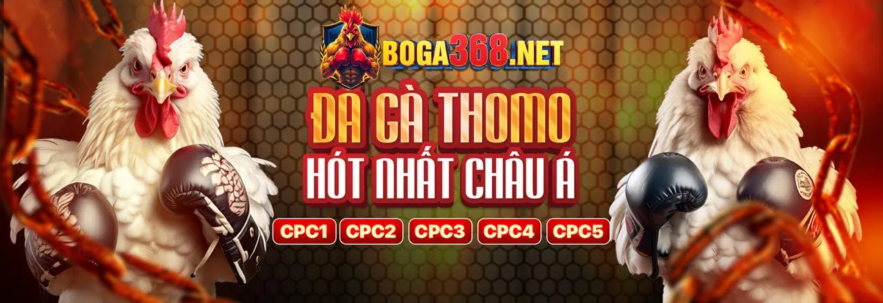 Tỷ lệ cược và kèo cược 33win02 app