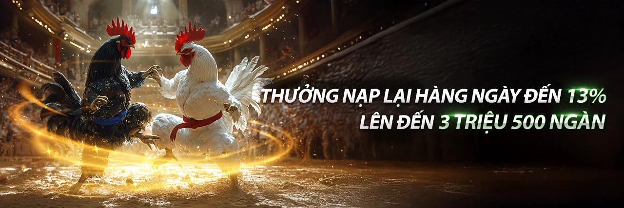 Đá Gà Trực Tuyến Hấp Dẫn Tại 33win02 App